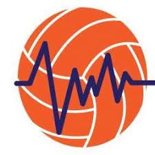 Pulse volleyball logo. 