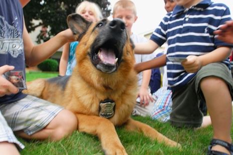 A group of Children petting a German Shepard K9 officer. 