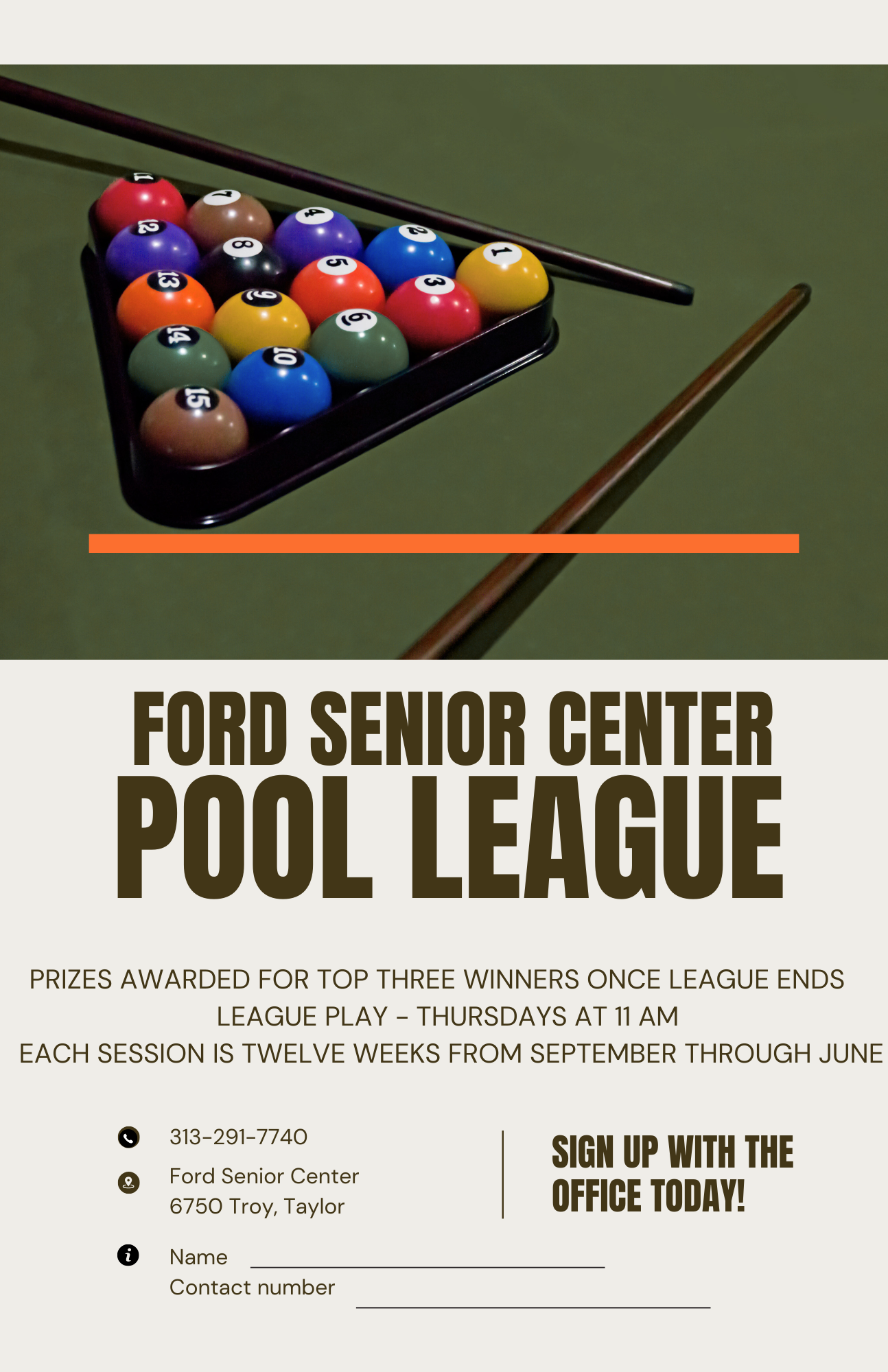 Billiard League 2025