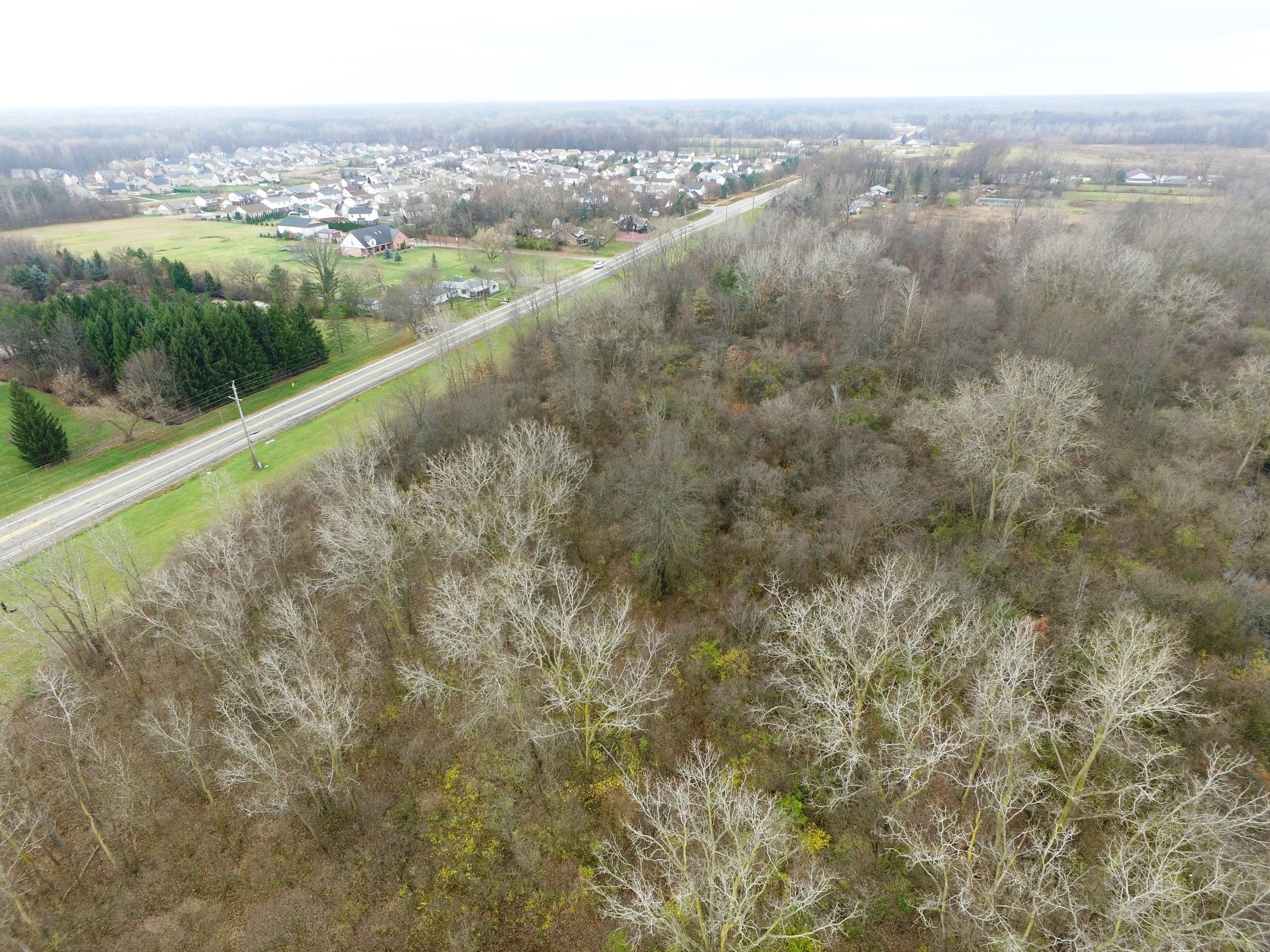 Pennsylvania and Beech Daly 4