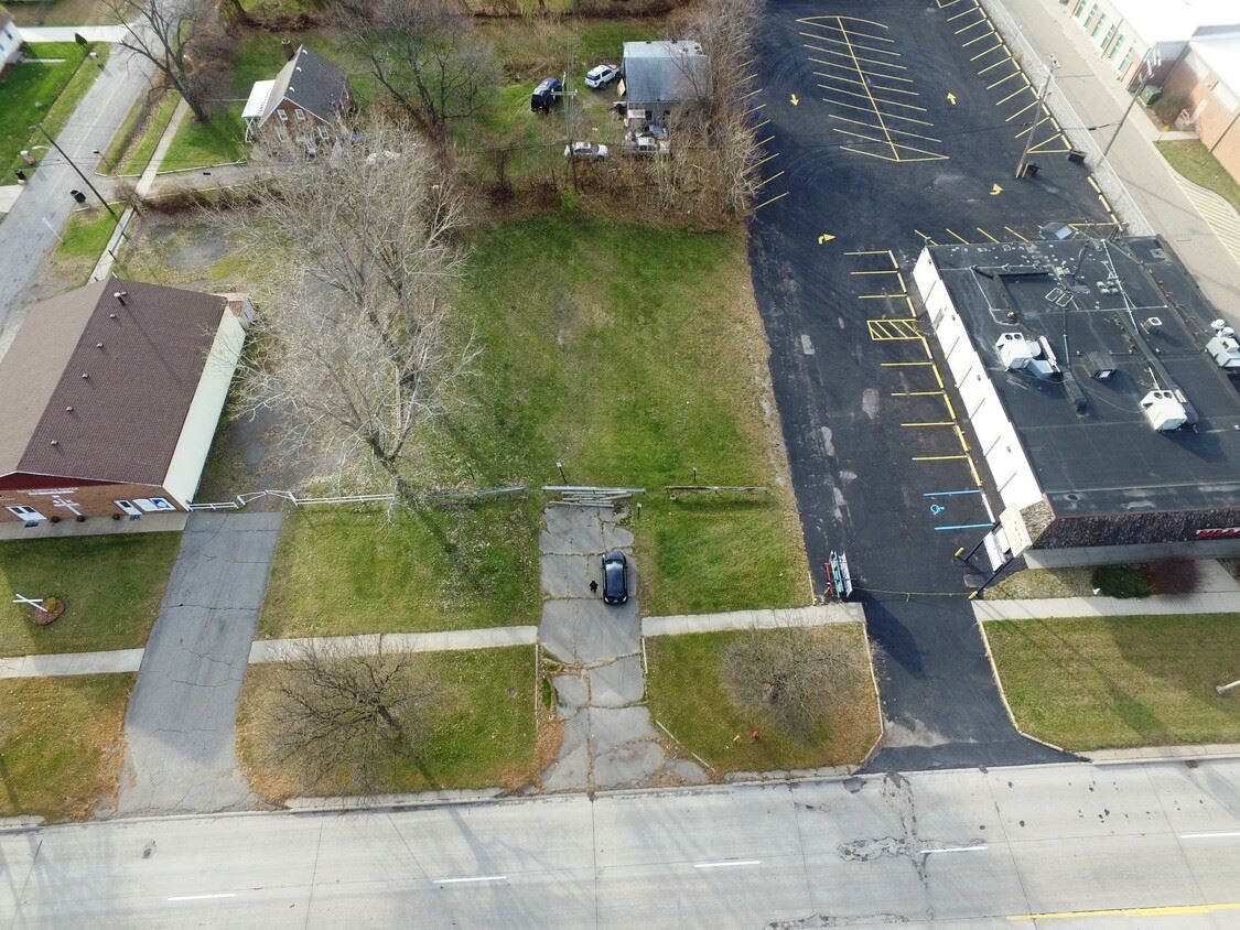 Ecorse and beech 5 Ecorse and beech 5